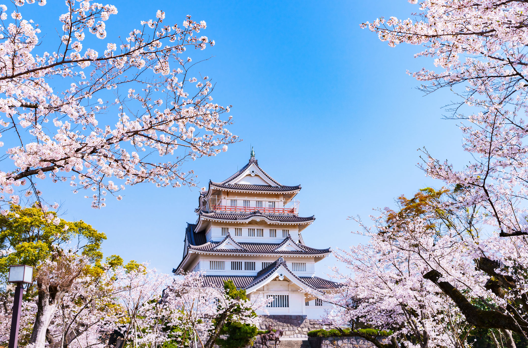 亥鼻公園の桜