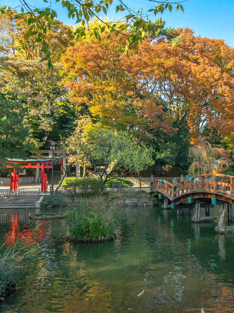 洗足池紅葉