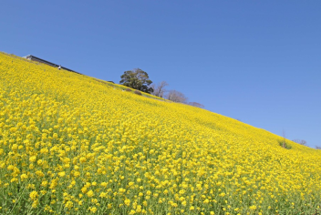 大人も子供も楽しめる！マザー牧場チケット付きプラン♪