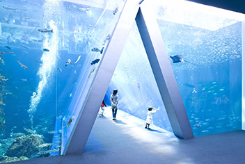 【アクアマリンふくしま】チケット付プラン