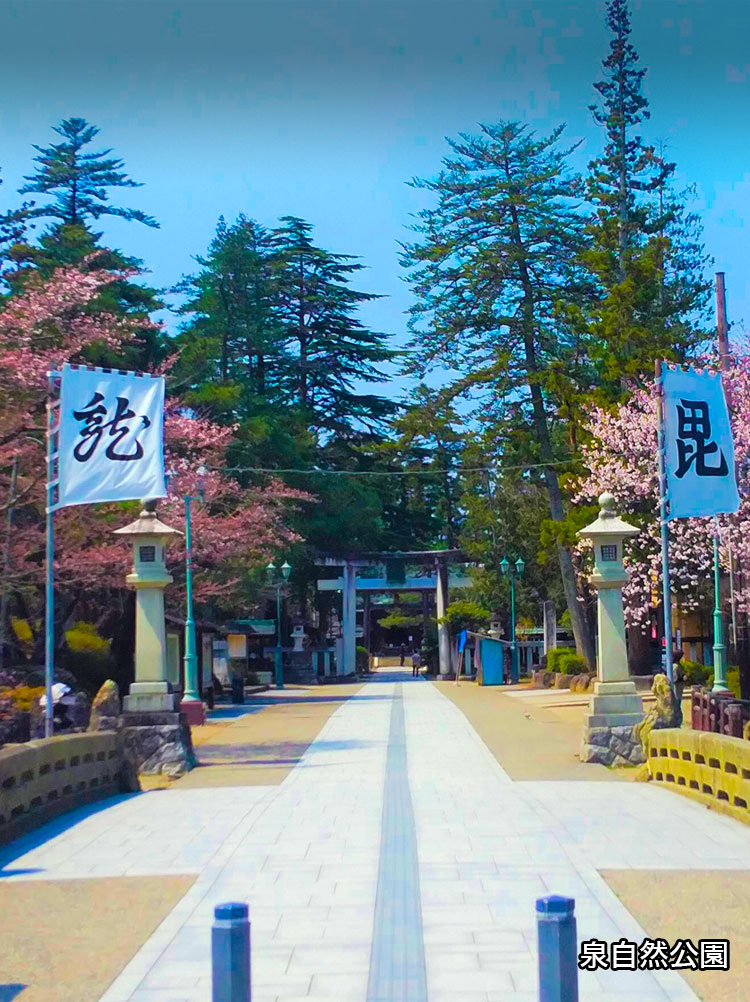 毘龍旗（上杉神社入口）